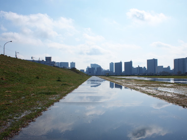 雨上がり♪_e0195587_19412282.jpg