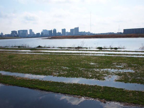 雨上がり♪_e0195587_1941251.jpg