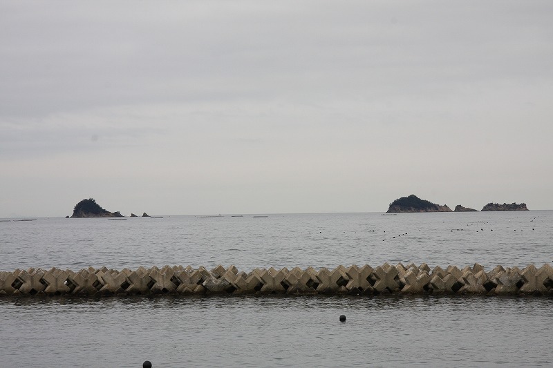 f0140087_1132939.jpg