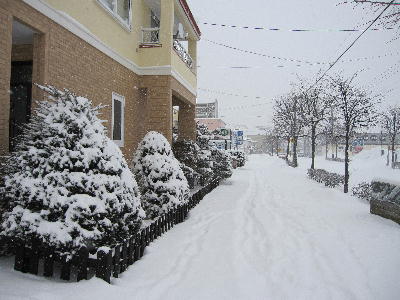 c0171889_8354122.jpg
