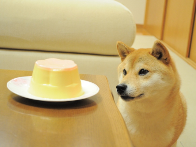 ペロペロぺロリ!_a0126590_22361892.jpg