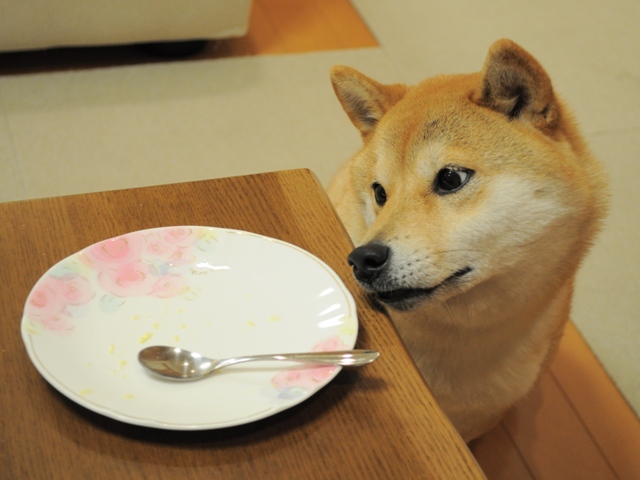ペロペロぺロリ!_a0126590_22362584.jpg