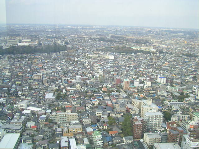c0223591_1526444.jpg