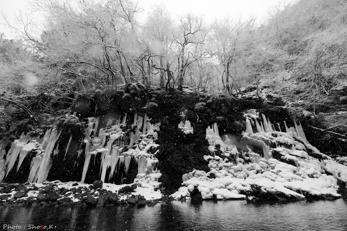 f0186496_13222.jpg