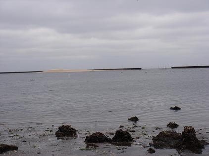 e0147297_814344.jpg