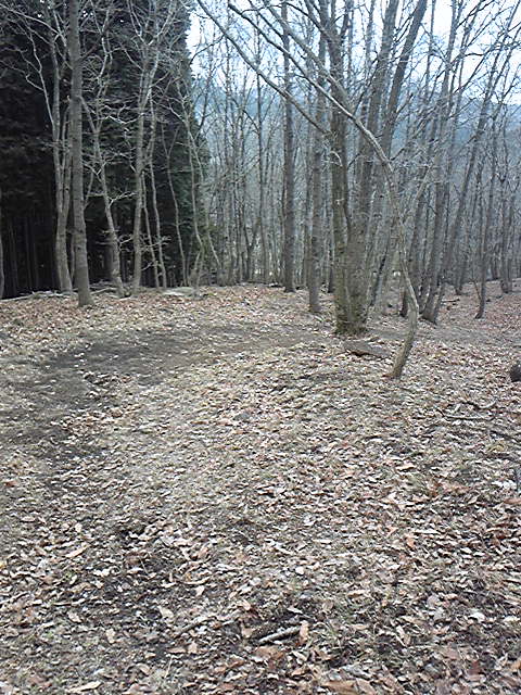 e0015108_7482792.jpg