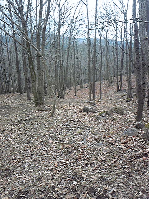 e0015108_7484772.jpg