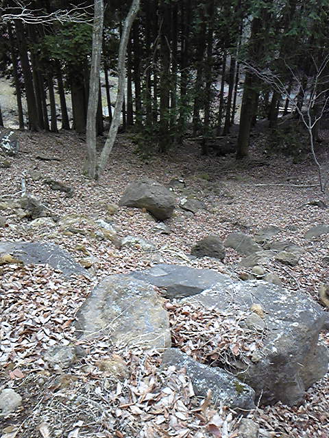 e0015108_7485954.jpg