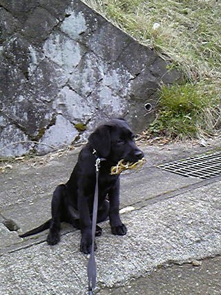 e0015108_7551969.jpg