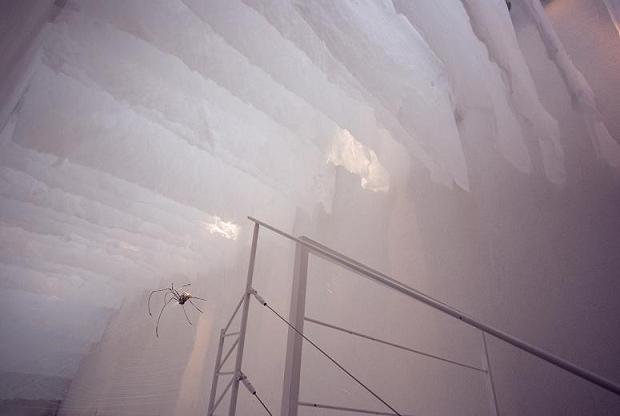 f0155808_8312119.jpg