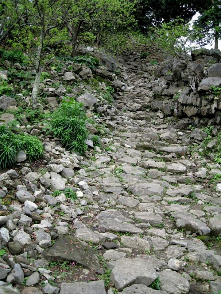 e0003910_21345097.jpg
