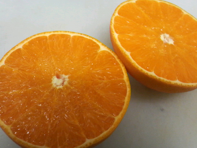 話題の柑橘新品種「せとか」_f0051814_22324281.jpg