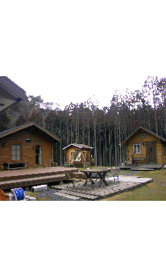 f0016929_14594985.jpg
