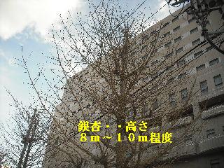 ビルの共有通路のワックス作業_f0031037_18474952.jpg