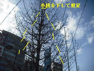 ビルの共有通路のワックス作業_f0031037_18475726.jpg