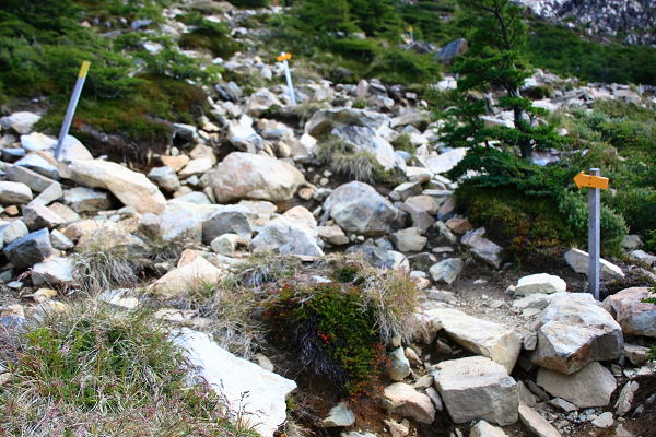 c0228945_223825.jpg