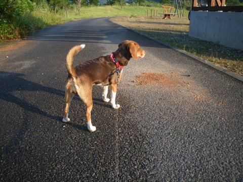 f0046250_0101567.jpg