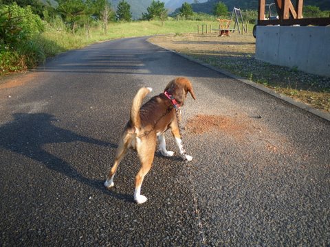 f0046250_010212.jpg