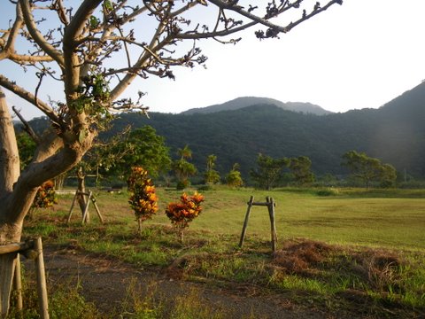 f0046250_05323.jpg