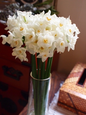 強い香りの花 モンパルナス