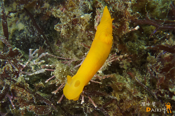 2010.03.03 Wed. 伊勢志摩_e0158261_8161414.jpg