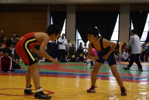 b0181767_92156.jpg