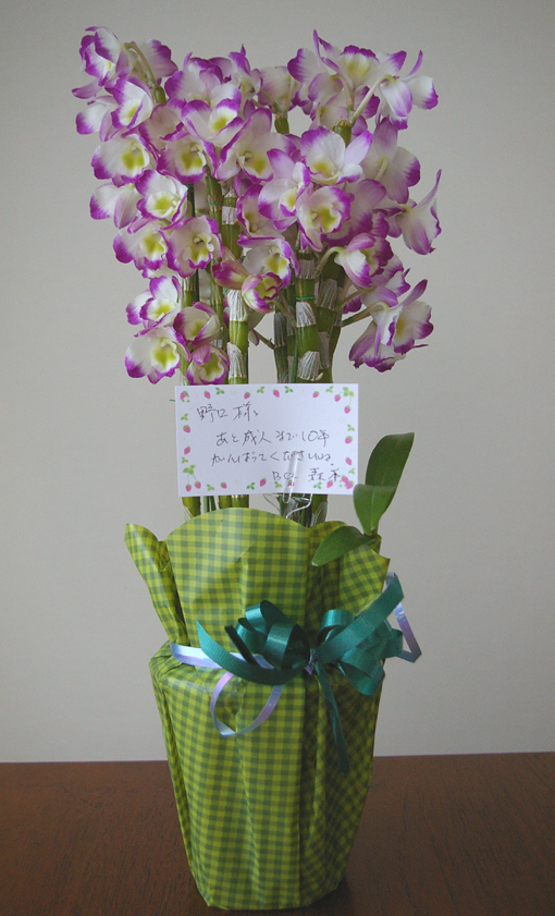 森本陽子さんからお祝いの花届く クール百音コンサート 北鎌倉湧水ネットワーク