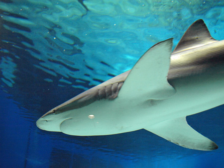 d0013068_2353145.jpg