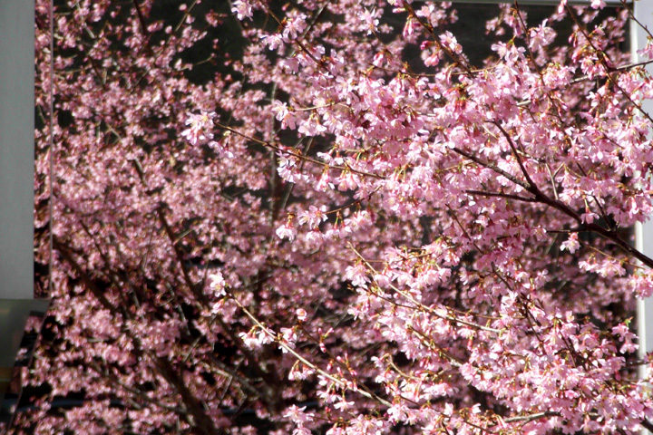 b0006870_1725529.jpg