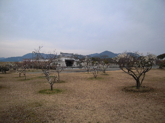 e0033570_22401616.jpg