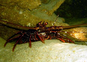 e0096370_1827690.jpg