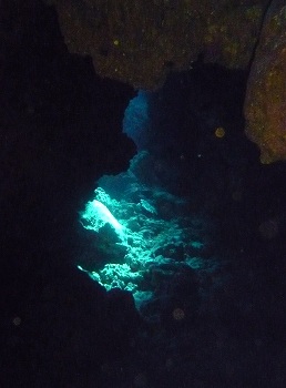 e0096370_18285578.jpg