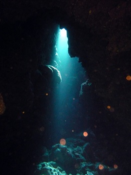 e0096370_1828599.jpg