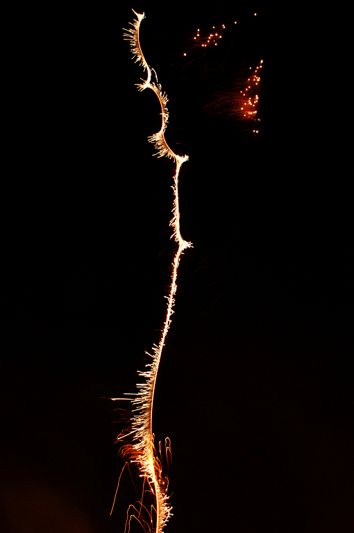 a0050572_11311026.jpg