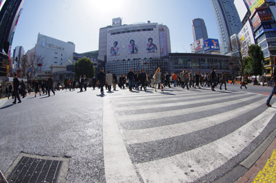 b0056983_15122144.jpg