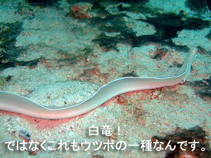 本日もマンツーマンでいかせて頂きます!_f0144385_21542376.jpg