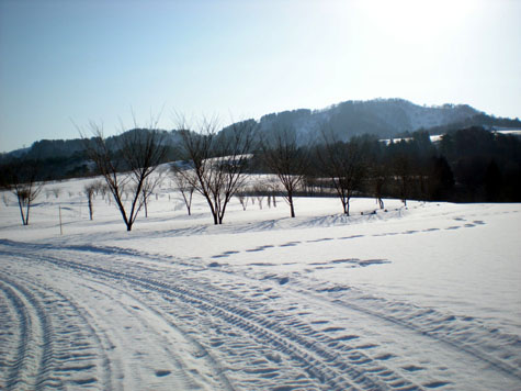 f0164499_416849.jpg
