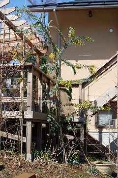 c0124100_17103653.jpg
