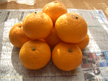 c0143711_20553159.gif