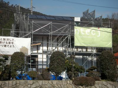 b0131012_914848.jpg