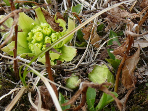 f0052323_17134650.jpg