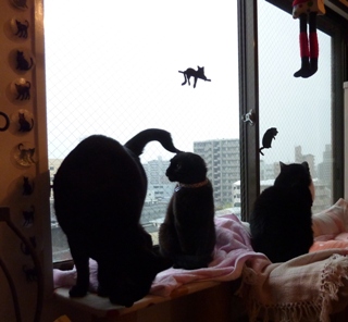 頭からしっぽ猫 空のぇるろった編。_a0143140_23113816.jpg