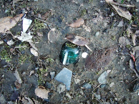 d0110641_23242444.jpg