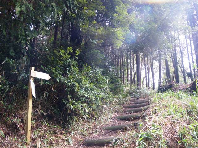 京都東山トレッキング_e0189446_1022577.jpg