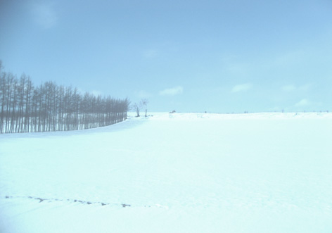 fantastic !_d0129249_1657174.jpg