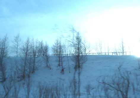 fantastic !_d0129249_1702869.jpg