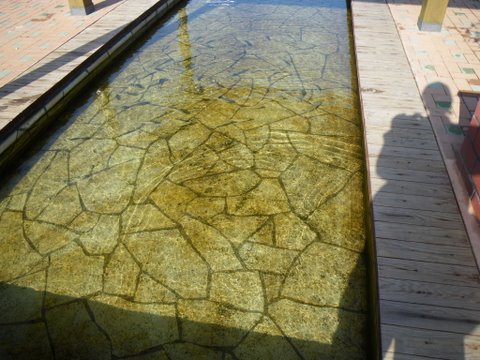 f0046250_23371134.jpg