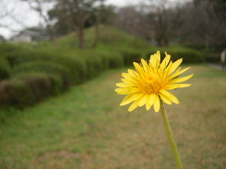 f0043559_814345.jpg