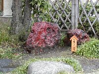 e0009760_11431114.jpg