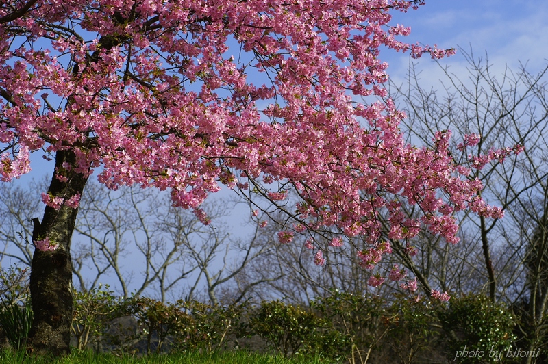 e0158567_10283111.jpg